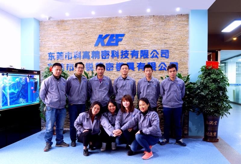 চীন Dongguan Kegao Precision Technology Co., Ltd. সংস্থা প্রোফাইল